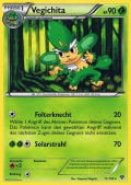 Vegichita aus dem Set XY