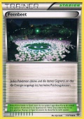 Feenbeet aus dem Set XY