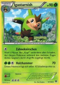 Igastarnish aus dem Set XY