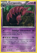 Cerapendra aus dem Set XY