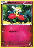 Flabb aus dem Set XY Flammenmeer