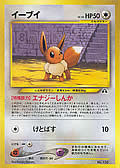 Evoli aus dem Set Neo2 Promo-Binder