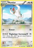 Muntier aus dem Set XY Fliegende Fuste