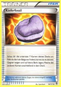 Kieferfossil aus dem Set XY Fliegende Fuste