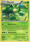 Matrifol aus dem Set XY Phantomkrfte