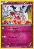 Pantimos aus dem Set XY Protoschock