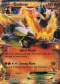 Flambirex EX aus dem Set XY TURBOfieber