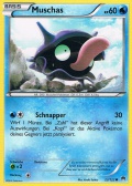 Muschas aus dem Set XY TURBOfieber