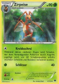 Zirpeise aus dem Set XY TURBOfieber