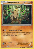 Mogelbaum aus dem Set XY TURBOfieber