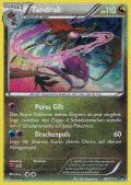 Tandrak aus dem Set XY TURBOfieber