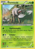 Fermicula aus dem Set XY TURBOfieber