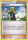 Halbstarke aus dem Set XY TURBOfieber